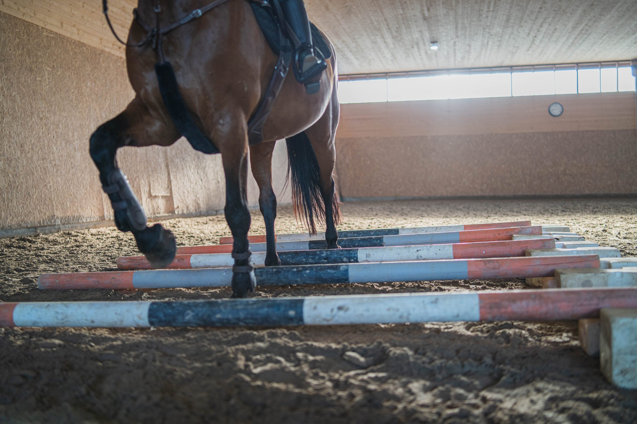 Optimus Farm, fysioterapeutti Jonna Pråhl tarjoaa myös hevosten kuntoutusta omalla kotitallilla